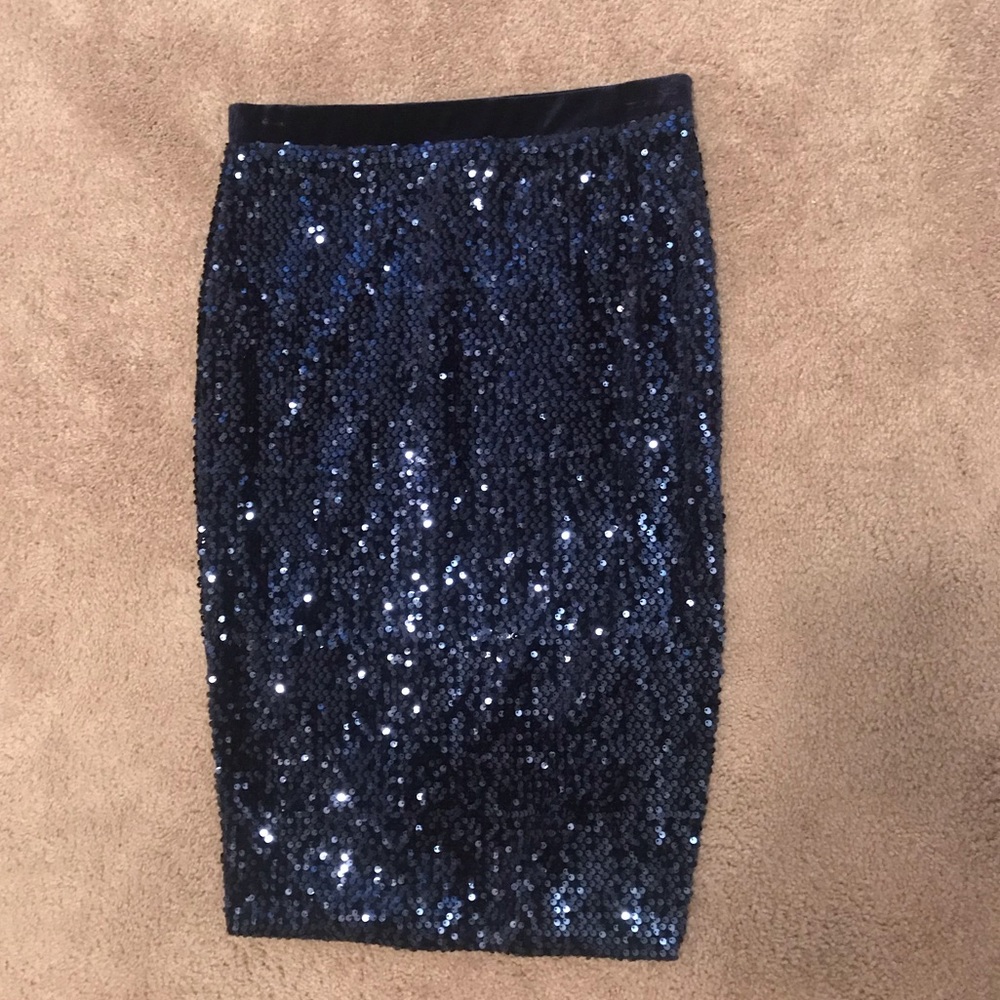 Navy Blue Sequin Skirt